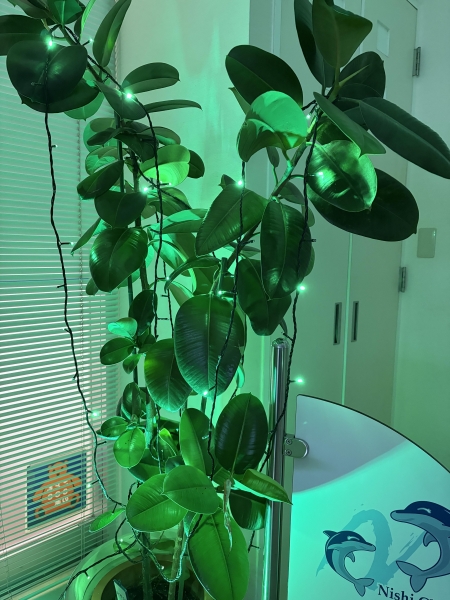 にし眼科クリニック