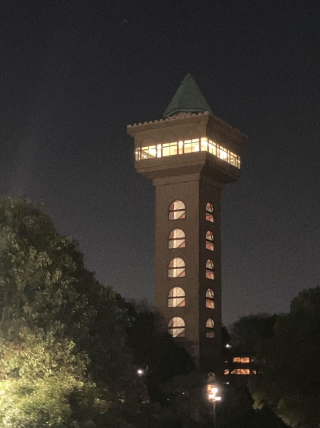 相模原麻溝公園